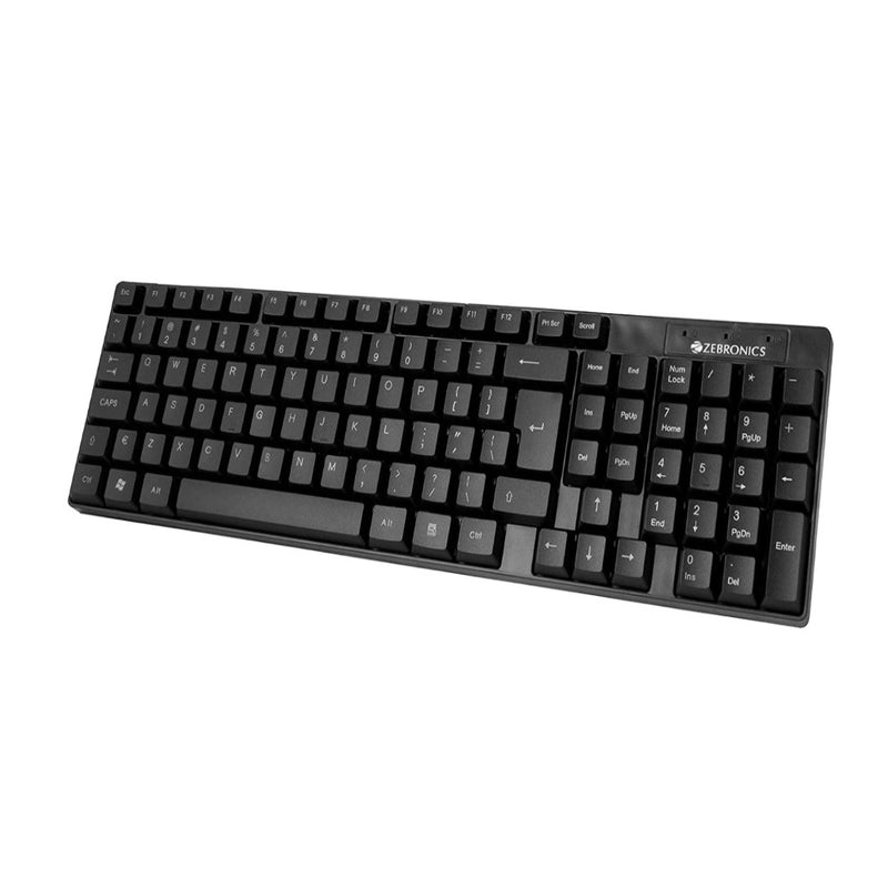 Zebronics K25 Standard Keyboard with USB Input