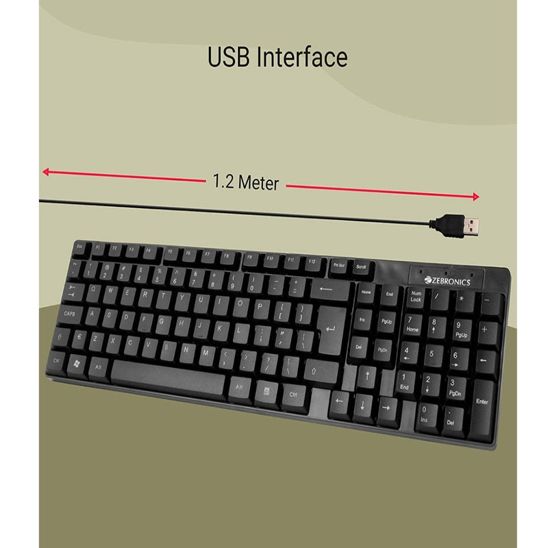 Zebronics K25 Standard Keyboard with USB Input