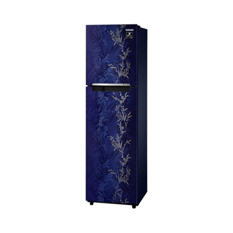 Samsung 253 L 2 Star Inverter Frost-Free Double Door Refrigerator (RT28T30226U/HL, Mystic Overlay Blue)